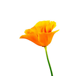 Similar image 11472095