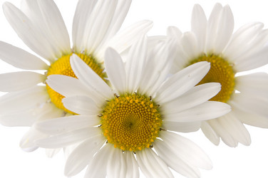 Similar image 11472099