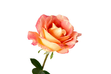 Similar image 11472103