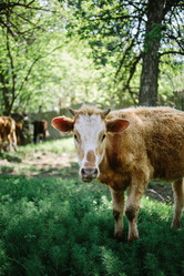 Similar image 11492894