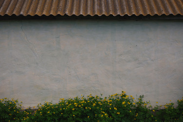 Similar image 11492939