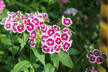 Similar image 11472037