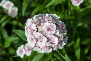 Similar image 11472040