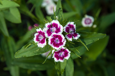 Similar image 11472041