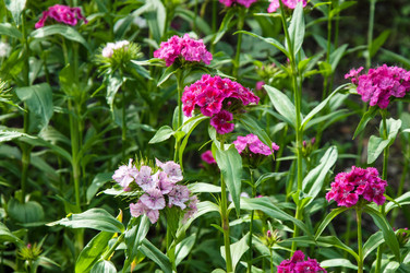 Similar image 11472043