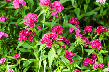 Similar image 11472044