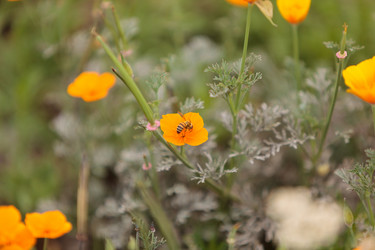 Similar image 11472346