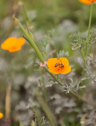 Similar image 11472322