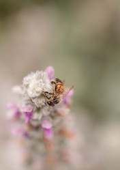 Similar image 11472336