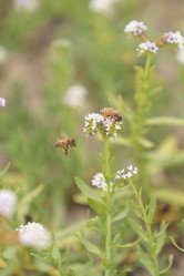 Similar image 11472341