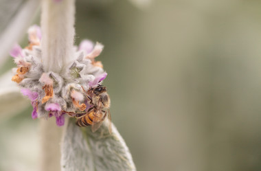 Similar image 11472343