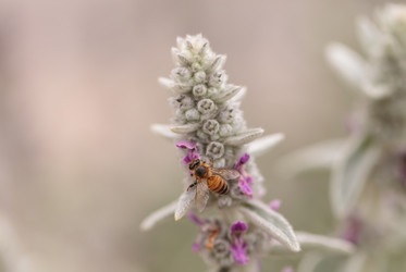 Similar image 11472345