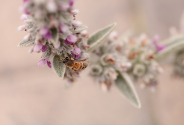 Similar image 11472347