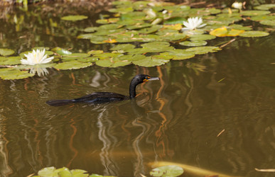 Similar image 11472354