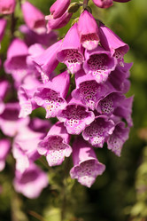 Similar image 11472359