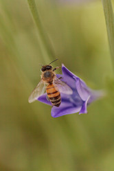 Similar image 11472362