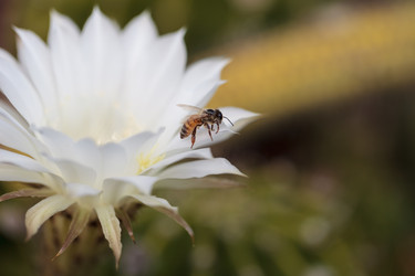 Similar image 11472363