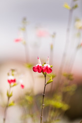 Similar image 11472375