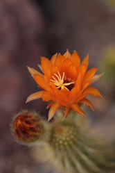 Similar image 11472276