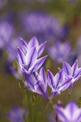 Similar image 11472278