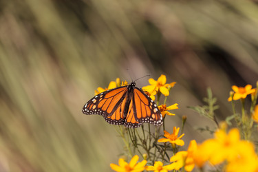 Similar image 11471758