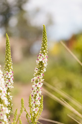 Similar image 11471761