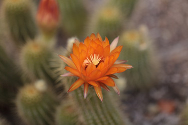 Similar image 11472282