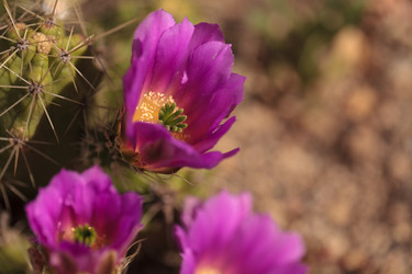 Similar image 11471765