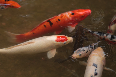 Similar image 11471766