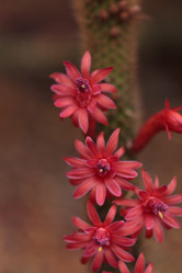 Similar image 11471924