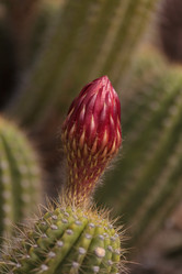 Similar image 11471925