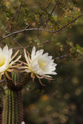 Similar image 11472289