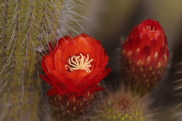 Similar image 11471928