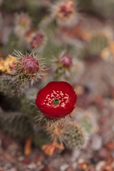 Similar image 11471929