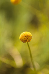 Similar image 11471933