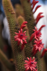 Similar image 11471934