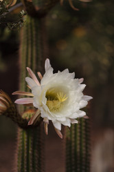 Similar image 11471935