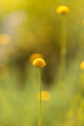 Similar image 11471936