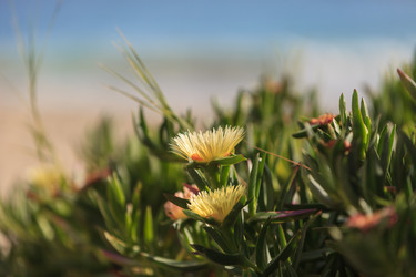 Similar image 11472842