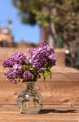 Similar image 11472329