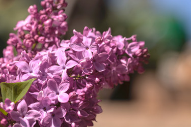 Similar image 11471960