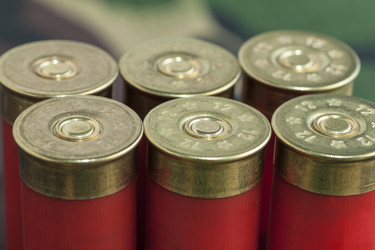 Similar image 11472805