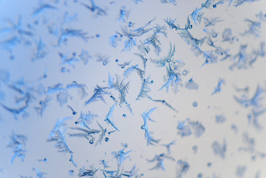 Similar image 11477122