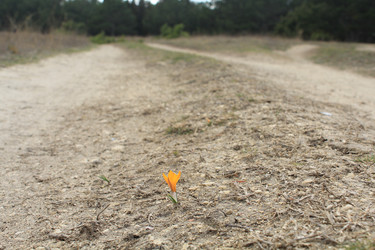 Similar image 11472769