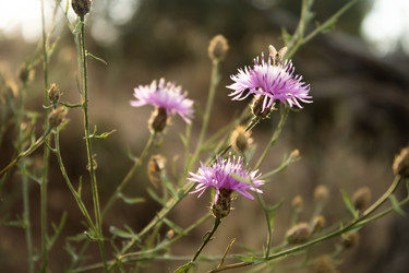 Similar image 11472771