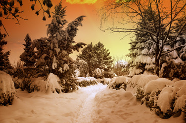 Similar image 11472808