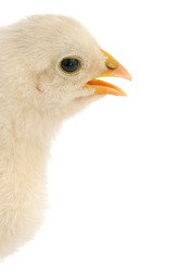 Similar image 11472816