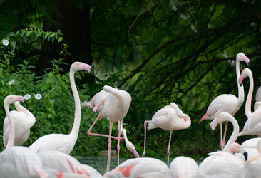 Similar image 11472817