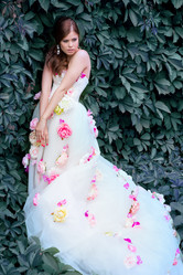 Similar image 11476035