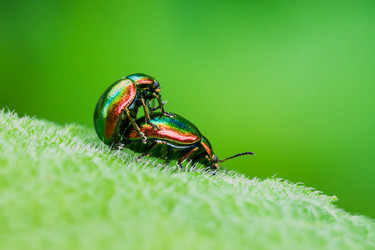 Similar image 11474205